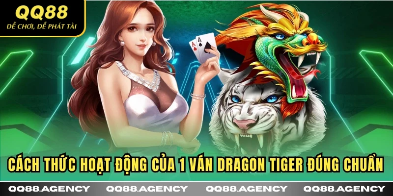 Cách thức hoạt động của 1 ván Dragon Tiger đúng chuẩn